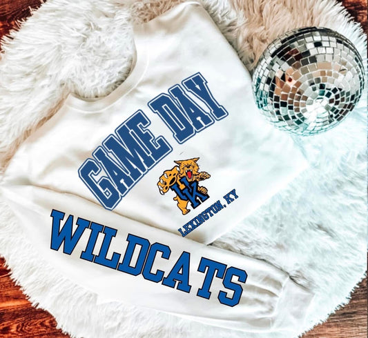 Game Day Lexington, KY Sweatshirt