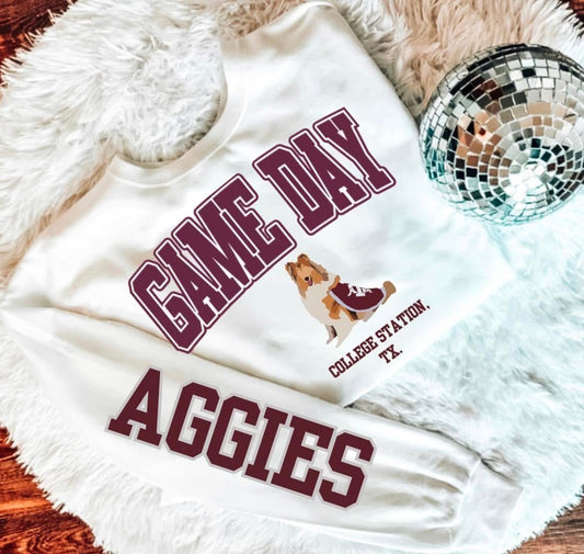 Game Day College Station, TX Sweatshirt
